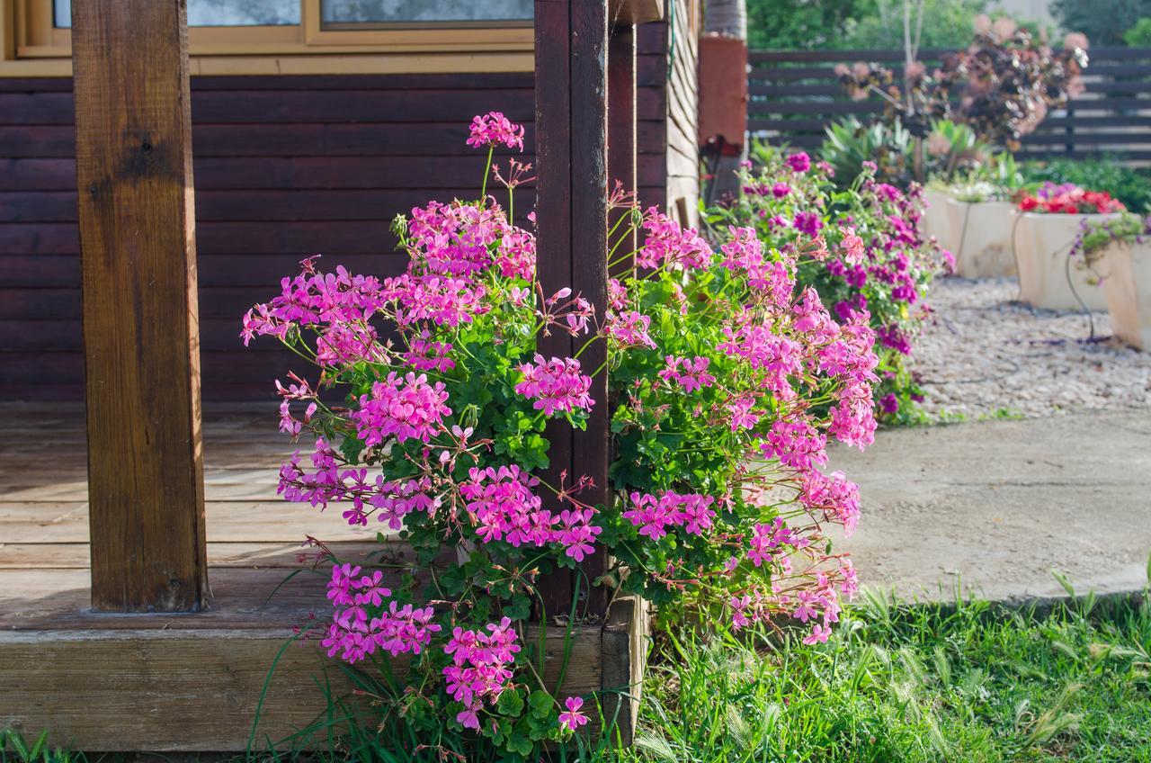 Tal Nof Cabins Villa Manot Buitenkant foto