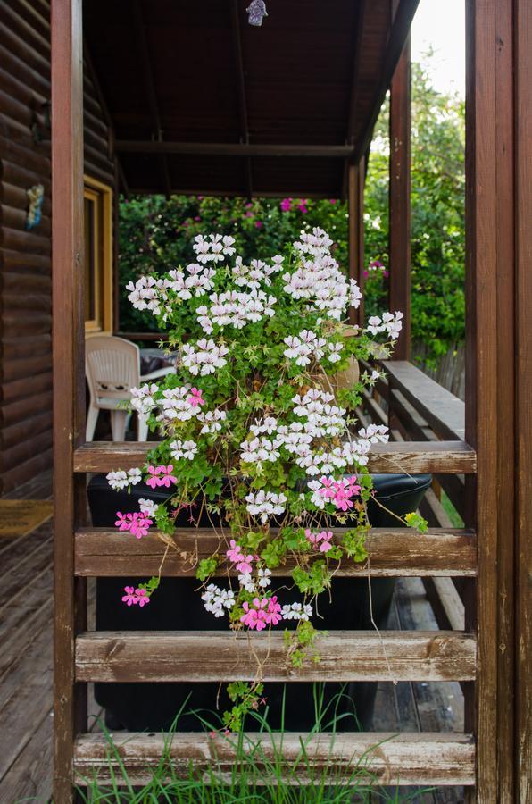 Tal Nof Cabins Villa Manot Buitenkant foto